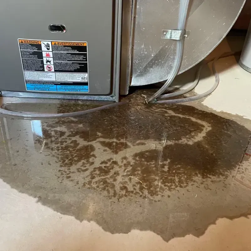 Appliance Leak Cleanup in York County, PA